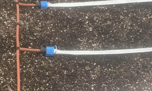 FAQ:  Does BluSoak Drip Tape Perform Best on Soil Surface, or Sub-Surface (Underground)?